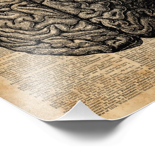 Human Brain  Illustratie Dictionary Art Foto Afdruk (Hoek)