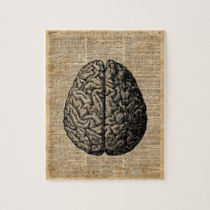 Human Brain  Illustratie Dictionary Art Legpuzzel
