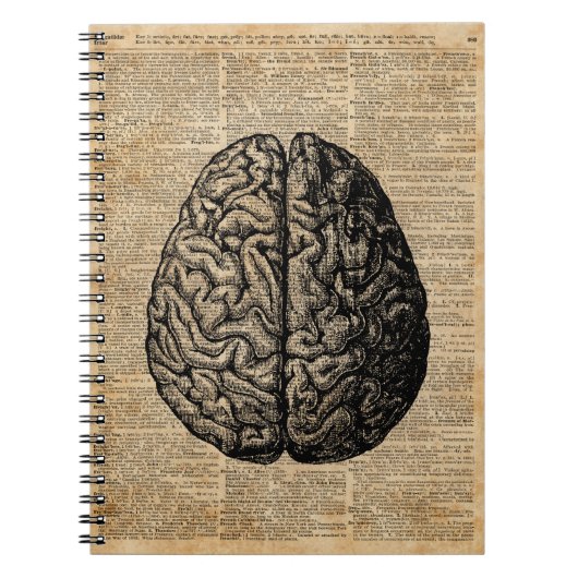 Human Brain Illustratie Dictionary Art Notitieboek (Voorkant)