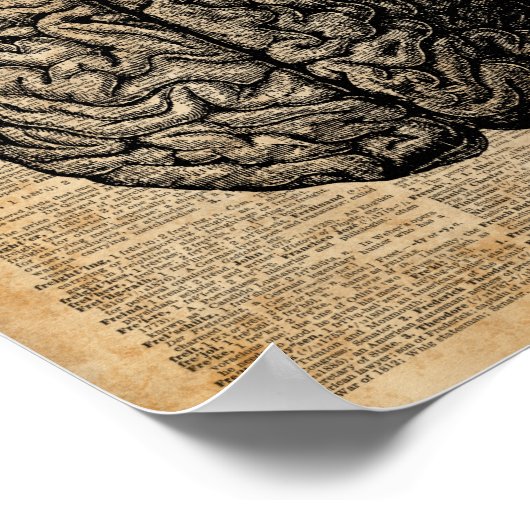 Human Brain  Illustratie Dictionary Art Poster (Hoek)