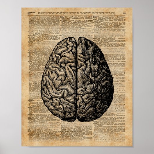 Human Brain  Illustratie Dictionary Art Poster (Voorkant)