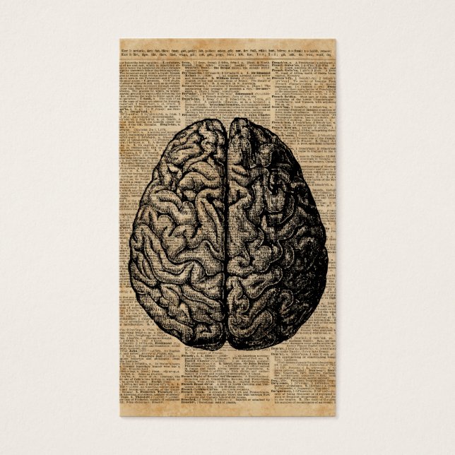 Human Brain  Illustratie Dictionary Art Visitekaartje (Voorkant)