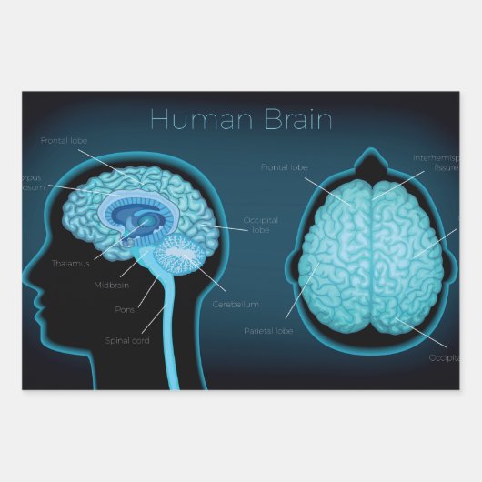 Human Brain Inpakpapier Vel (Voorkant)