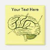 Human Brain Magneet (Voorkant)