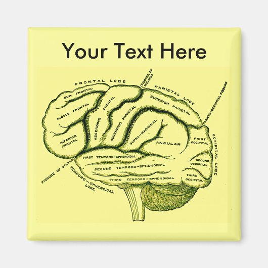 Human Brain Magneet (Voorkant)