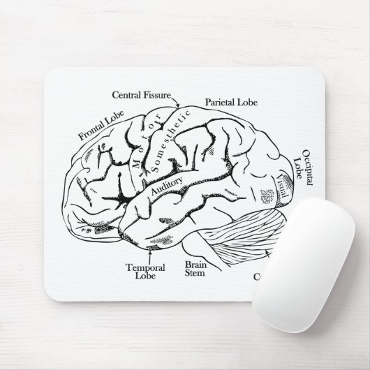 Human Brain Muismat (Met muis)