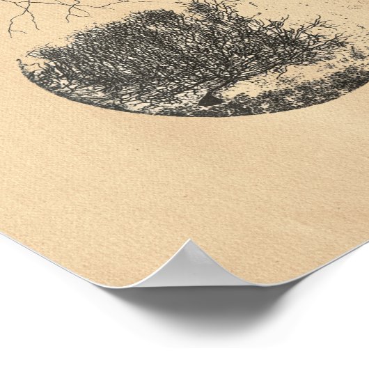 Human Brain Neuron Anatomy Print (Hoek)