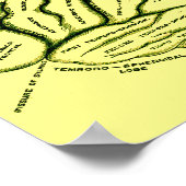 Human Brain Poster (Hoek)