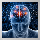 Human Brain Poster (Voorkant)