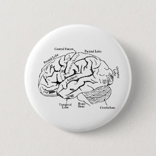 Human Brain Ronde Button 5,7 Cm
