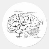 Human Brain Ronde Sticker (Voorkant)
