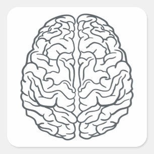 Human Brain Vierkante Sticker