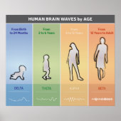 Human Brain Waves op basis van leeftijdsdiagram Mu Poster (Voorkant)