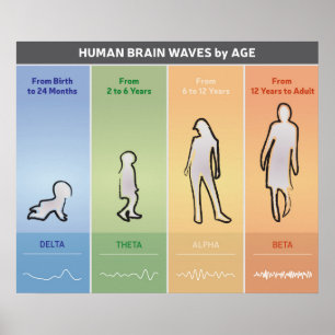 Human Brain Waves op basis van leeftijdsdiagram Mu Poster