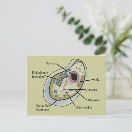 Human Cell Biology T-Hemden Briefkaart (Staand voorkant)