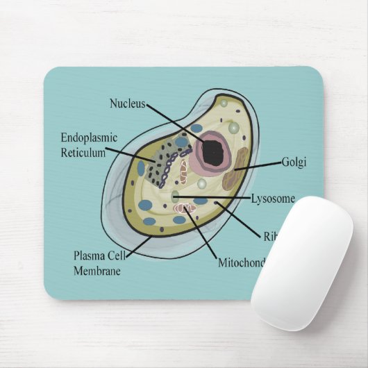 Human Cell Biology T-Hemden Muismat (Met muis)