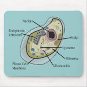 Human Cell Biology T-Hemden Muismat (Voorkant)