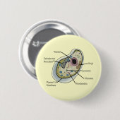 Human Cell Biology T-Hemden Ronde Button 5,7 Cm (Voorkant /achterkant)