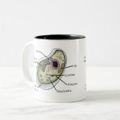 Human Cell Biology T-Hemden Tweekleurige Koffiemok (Voorkant links)