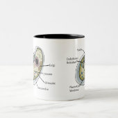 Human Cell Biology T-Hemden Tweekleurige Koffiemok (Center)
