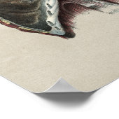 Human Chest Lung Anatomy  Print (Hoek)