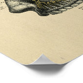 Human Dental Nerves Anatomy 1902  Print (Hoek)