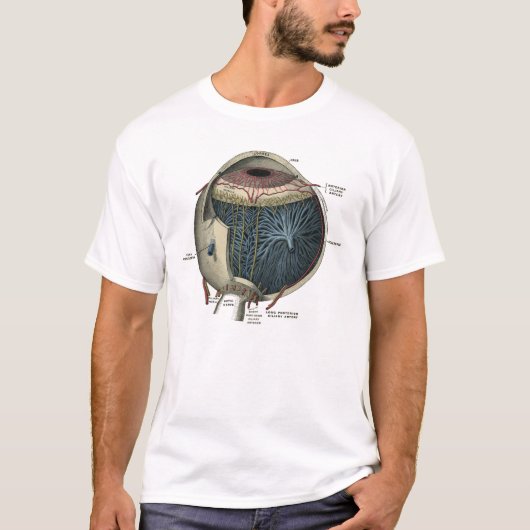 Human Eye Anatomy 1902  T-shirt (Voorkant)