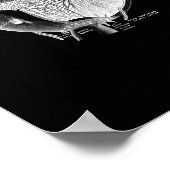 Human Eye Anatomy in zwart-wit print. Poster (Hoek)