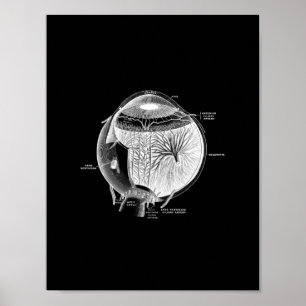 Human Eye Anatomy in zwart-wit print. Poster