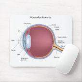 Human Eye Anatomy Mousepad Muismat (Met muis)