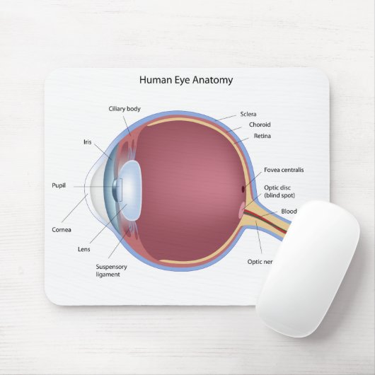 Human Eye Anatomy Mousepad Muismat (Met muis)