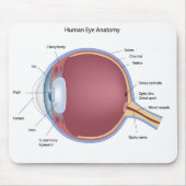 Human Eye Anatomy Mousepad Muismat (Voorkant)