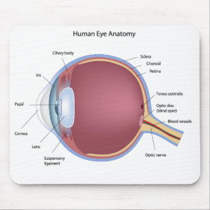 Human Eye Anatomy Mousepad Muismat