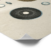 Human Eye Anatomy Vintage Print (Hoek)