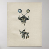 Human Eye Brain Anatomy  Print (Voorkant)