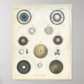 Human Eye Internal Anatomy Print (Voorkant)