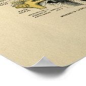 Human Eye Nerves Anatomy 1902  Print (Hoek)