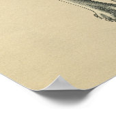 Human Femur Anatomy 1902  Print (Hoek)