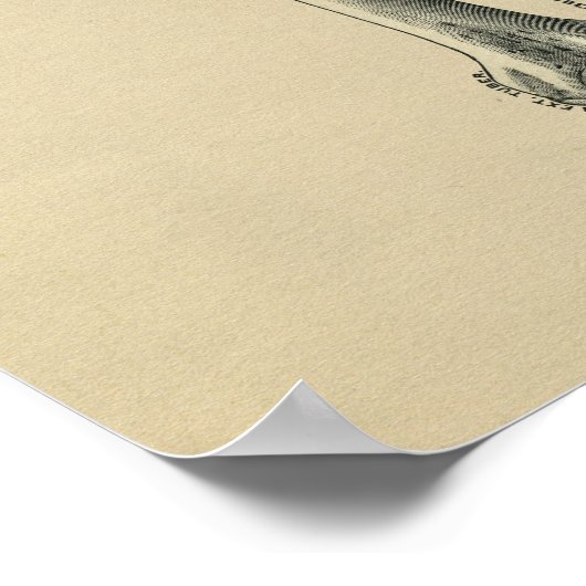 Human Femur Anatomy 1902  Print (Hoek)