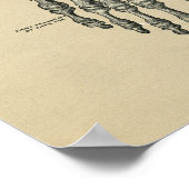 Human Foot Anatomy 1902 Print (Hoek)