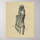 Human Foot Anatomy 1902 Print (Voorkant)