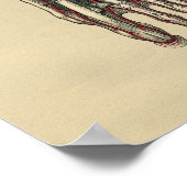 Human Foot Anatomy 1902  Print (Hoek)