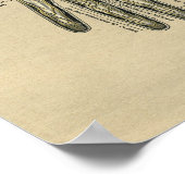 Human Hand Anatomy 1902  Print (Hoek)