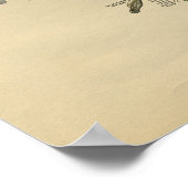 Human Hand Anatomy 1902 Print (Hoek)