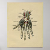 Human Hand Anatomy 1902 Print (Voorkant)
