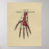 Human Hand Anatomy 1902  Print (Voorkant)