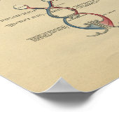 Human Head Neck Anatomy 1902  Print (Hoek)