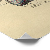 Human Heart Anatomy 1902  Print (Hoek)