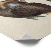 Human Heart Anatomy  Print (Hoek)