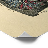 Human Heart and Lungs 1902  Print (Hoek)